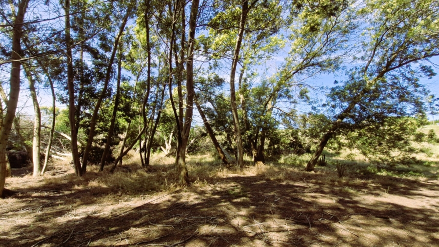 Commercial Property for Sale in Napier Western Cape